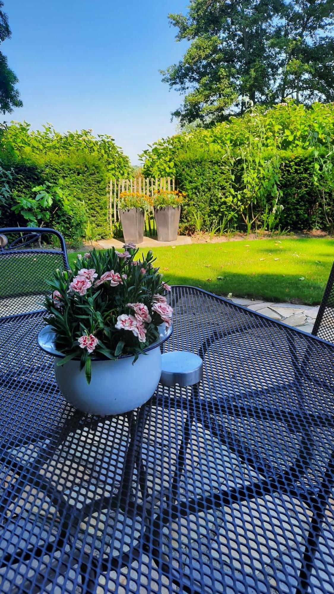 Onder De Peppel Met Sauna En Jacuzzi *