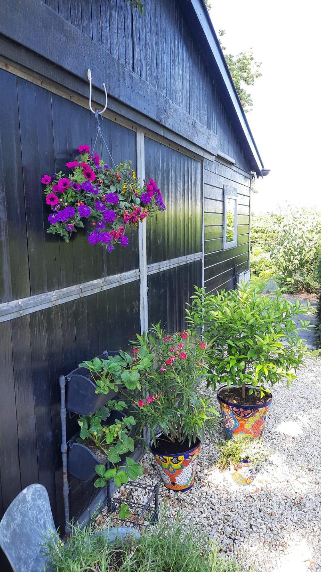 Hébergement de vacances Onder De Peppel Met Sauna En Jacuzzi